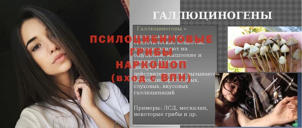 соль ск Волосово
