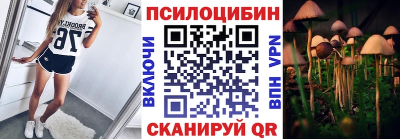 как найти закладки  Чегем  Псилоцибиновые грибы мицелий 